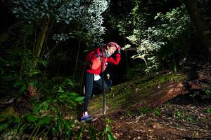 BIB: 
                            <button type="button" onclick="openModal(15974017)" class="btn btn-primary btn-sm float-right btn-popup" data-toggle="modal" data-target=".modal-high-quality">
                        <i class="fas fa-shopping-cart"></i> Add to Cart
                    </button>
                                            <button type="button" onclick="isThisMe(15974017, true)" class="btn btn-success btn-sm float-right btn-popup btn-isme hidden" data-toggle="tooltip" data-placement="bottom" title="นี่คือรูปของคุณใช่ไหม คลิกที่นี่เพื่อเอาเข้าอัลบั้ม">
                        <i class="fas fa-plus"></i> Add to album
                    </button>
                    <button type="button" onclick="isThisMe(15974017, false)" class="btn btn-warning btn-sm float-right btn-popup btn-isnotme hidden">
                        <i class="fas fa-ban"></i> Remove from album
                    </button>